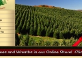 powerstreefarm.com